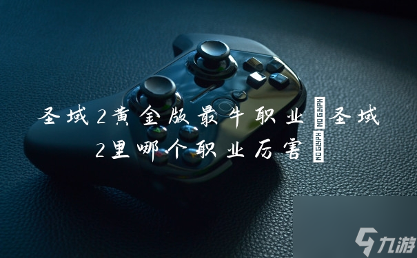 圣域2黄金版顶级职业盘点