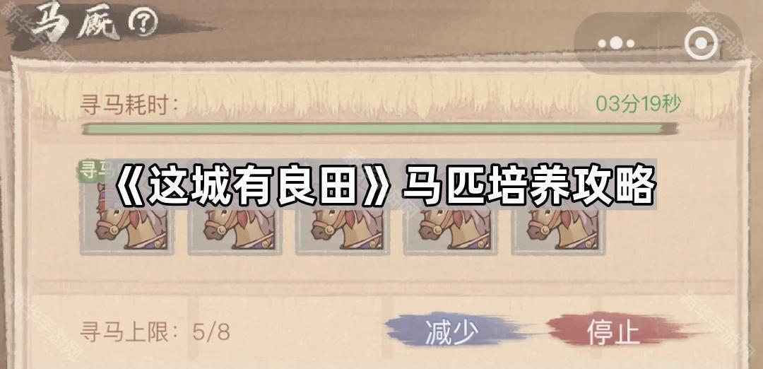 《探寻这片沃土：马匹培育秘籍》