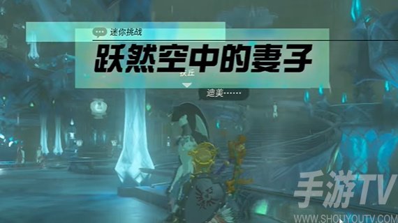 《塞尔达传说：王国之泪》空中妻子章节攻略全解析