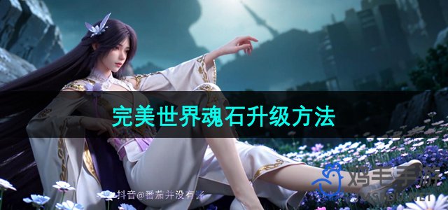 《探寻完美世界魂石升级之道》
