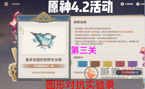 原神：第三日图形挑战攻略指南