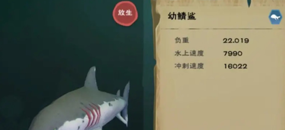 探索神秘海洋：揭秘创造与魔法鲨鱼之所在