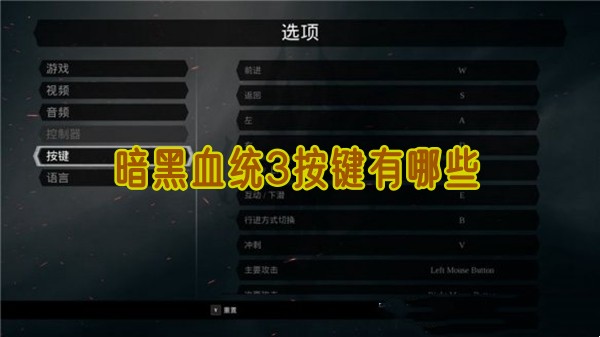 《暗黑血统3：全面按键指南》