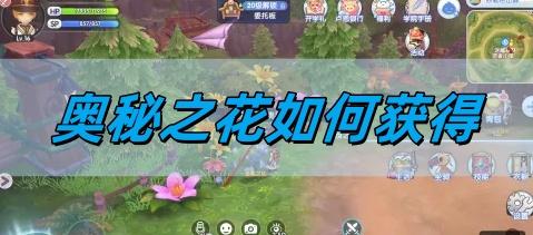 仙境传说新启航 奥秘之花获取攻略