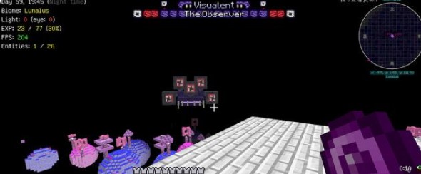 《探索虚无：Minecraft观察者生存攻略全解析》