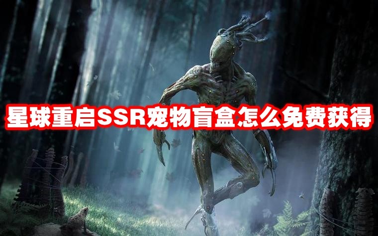 星球重启 SSR 宠物盲盒获取攻略