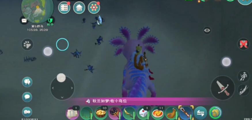 揭秘海龙饲料配方：打造独特营养创新