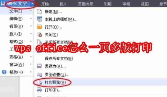 wps office怎么一页多版打印