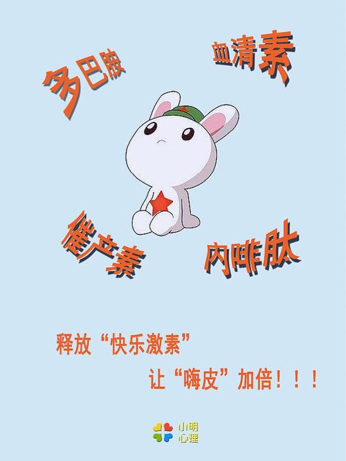 嗨皮直播平台体验分享：畅享快乐直播时光