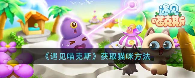 探索猫咪世界的入门指南：轻松获取喵星人的秘诀