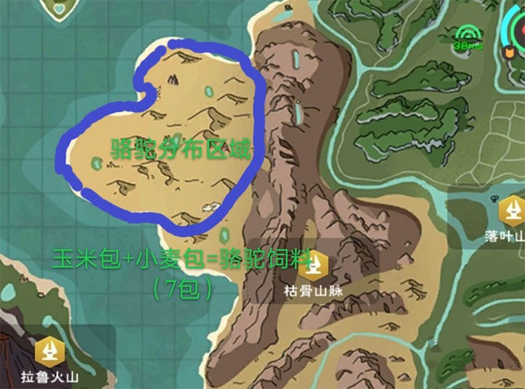 探索魔法骆驼的神秘分布地带