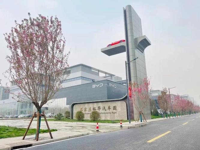 揭秘百度TDEE：全面解析高效燃脂的秘密