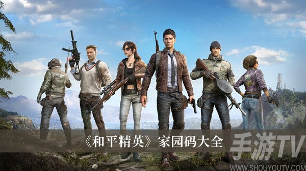 和平精英家园码详解：了解家园码的功能与用途