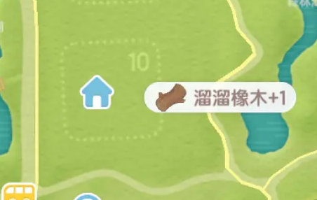 2025年1月7日心动小镇溜溜橡木与无暇萤石探秘之旅