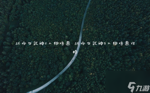 《战场女武神2角色强化攻略》