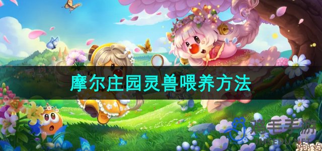 《揭秘摩尔庄园》——灵兽高效喂养指南